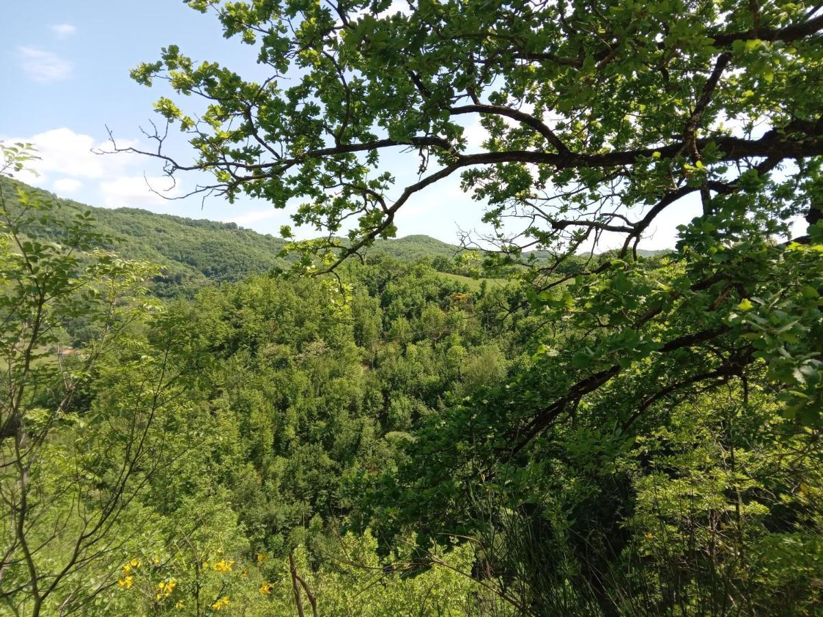 Casa Biron Pension Molino Sant'Anna Buitenkant foto